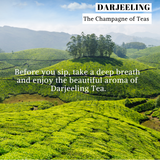 darjeeling tea leaf