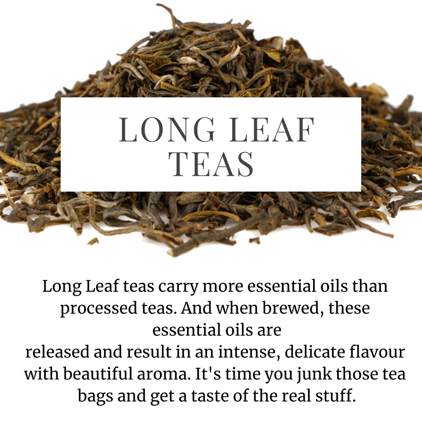 Orthodox Black Tea from darjeeling- Buy Premium Orthodox Black Teas Online