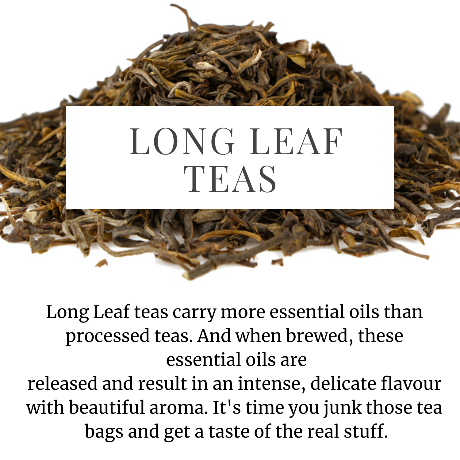 Orthodox Black Tea from darjeeling- Buy Premium Orthodox Black Teas Online