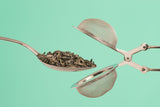 Classic Green Tea Starter Kit